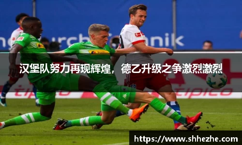 汉堡队努力再现辉煌，德乙升级之争激烈激烈