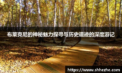 布莱克尼的神秘魅力探寻与历史遗迹的深度游记