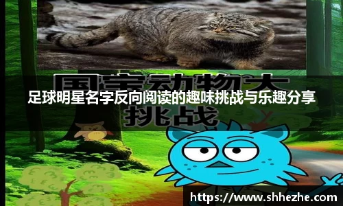 足球明星名字反向阅读的趣味挑战与乐趣分享